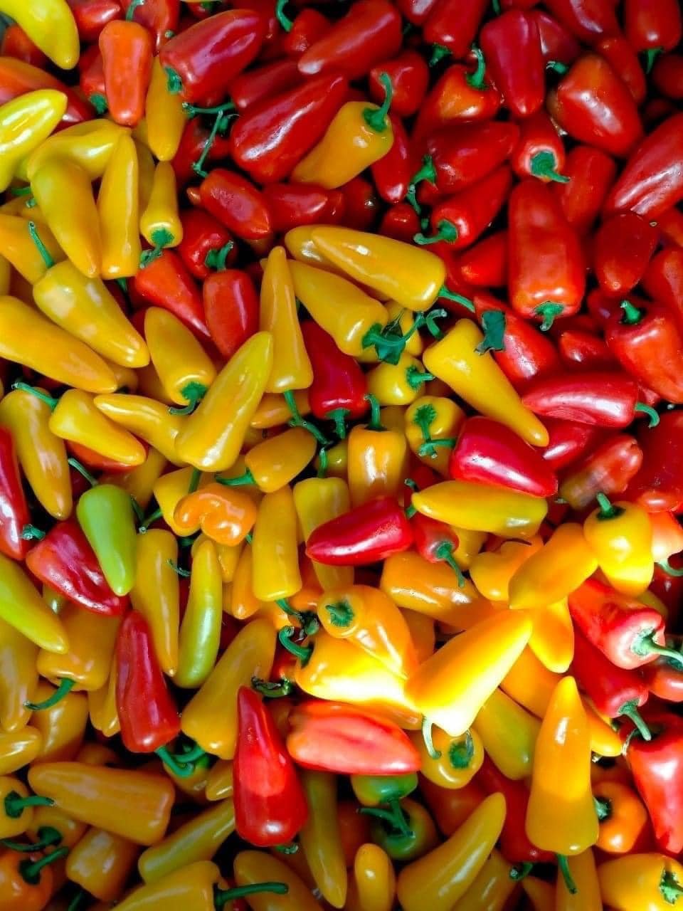 Alt của Ớt Snack Đà Lạt