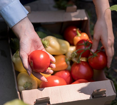 CÁCH BẢO QUẢN RAU CÓ THỂ BẠN CHƯA BIẾT