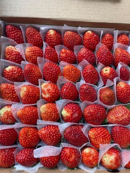 Dâu Tây Đà Lạt