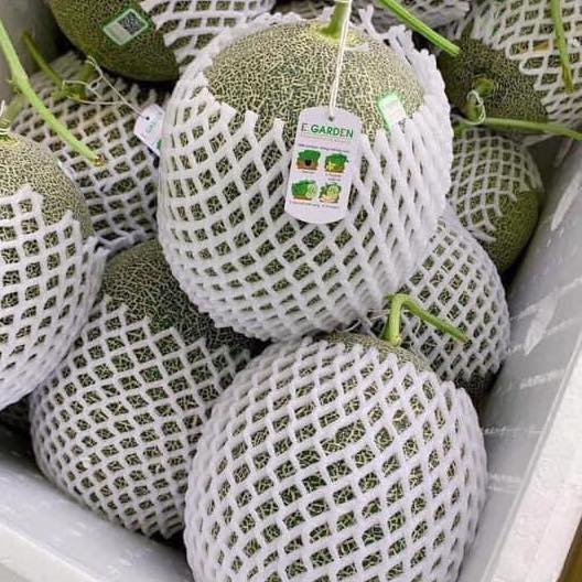 Alt của Dưa Lưới Garden