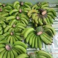 Chuối LaBa