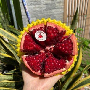 Alt của Lựu Peru