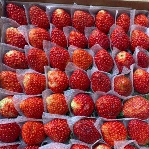 Dâu Tây Đà Lạt