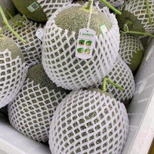 Alt của Dưa Lưới Garden