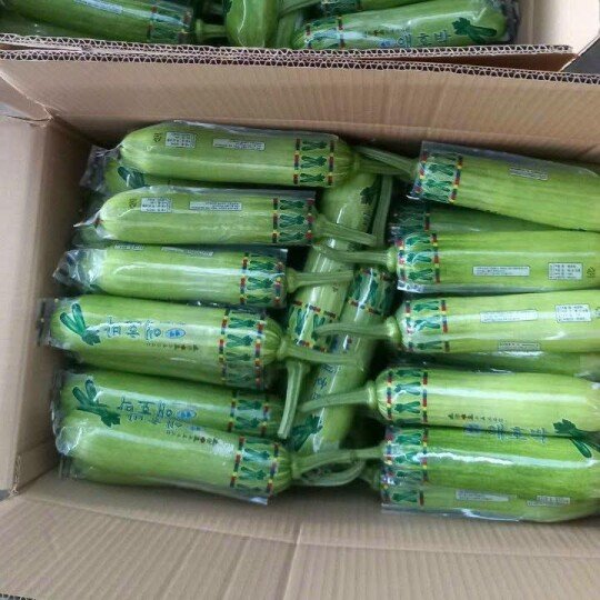 Bí Ngòi Hàn Quốc