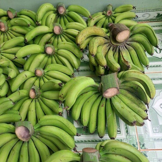 Chuối LaBa