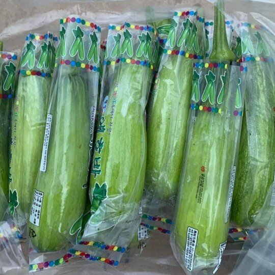 Bí Ngòi Hàn Quốc