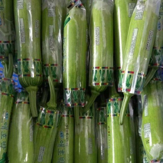 Bí Ngòi Hàn Quốc